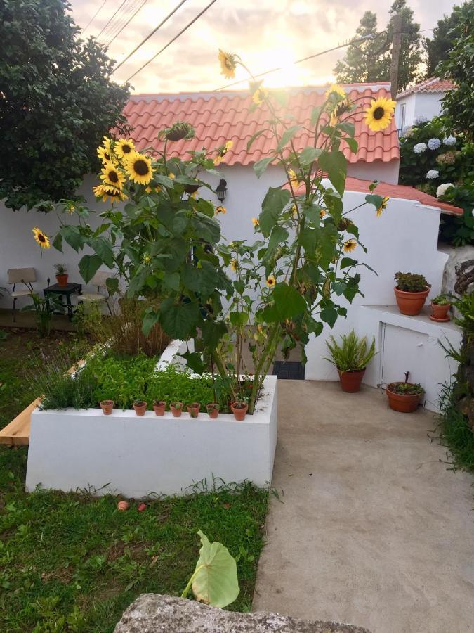 The Azores Homestead - Terceira Santa Barbara  Exterior foto